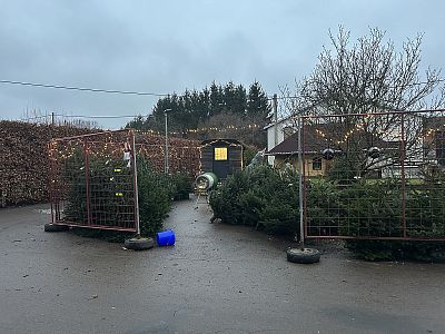 Prodej mulčovací kůry, štěpky i vánočních stromků