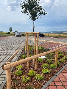 Sázení stromů a keřů, výsadba květinových záhonů a založení skalky