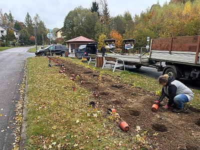 Sázení stromů a keřů, výsadba květinových záhonů a založení skalky