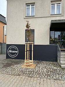 Sázení stromů a keřů, výsadba květinových záhonů a založení skalky