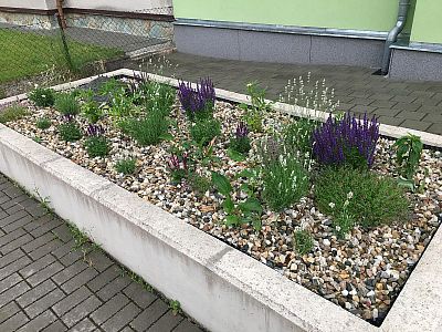 Sázení stromů a keřů, výsadba květinových záhonů a založení skalky