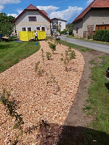 Sázení stromů a keřů, výsadba květinových záhonů a založení skalky