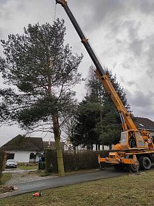 Sezónní a celoroční údržba zahrady